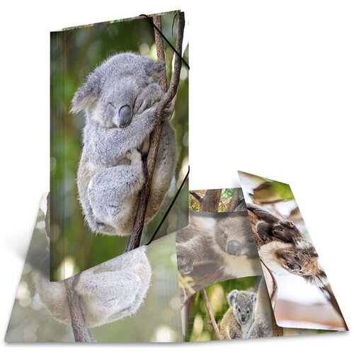 Herma Mapa z elastiko A3 PP, Glossy Koala Slike