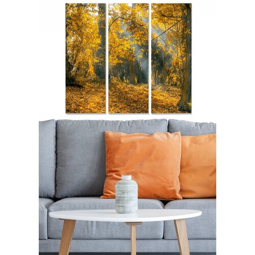 Wallity Set slika MDF2444046, 3 dijela Cene
