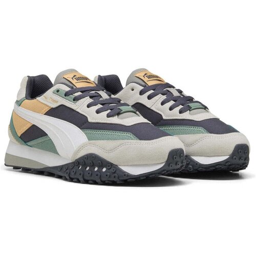 Puma Siva Slike