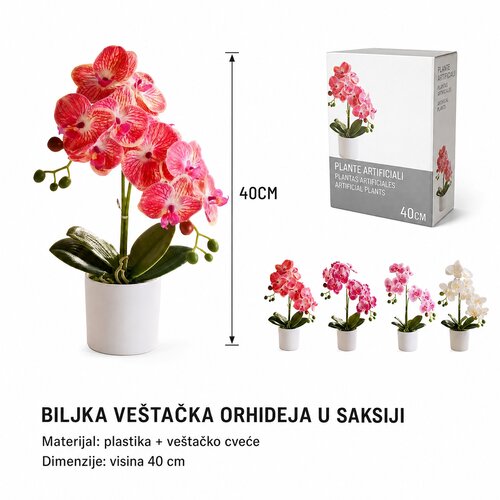 KMT Ve&scaron;tačka Phalaenopsis orhideja u saksiji, 2 grane, 10 cvetova Cene