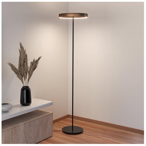 Eglo 390452 - led prigu&scaron;iva podna lampa trabuco 2xLED/19W/230V 2200-6500K braon Cene