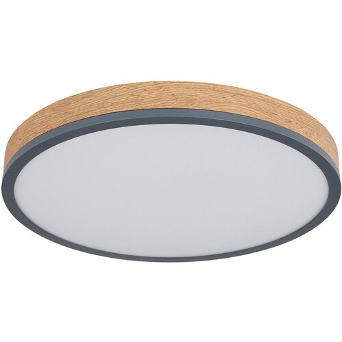 Novel stropna led-svetilka 45/8,5 cm Cene