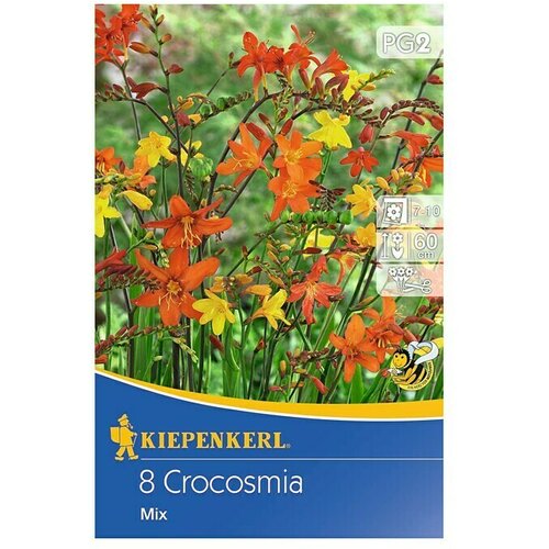 KIEPENKERL Lukovice ljetnog cvijeća (Crocosmia, 8 Kom.) Cijene