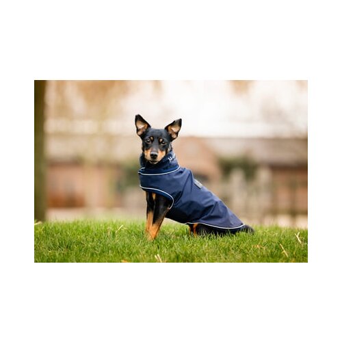 Horseware Ireland Pasji dežni plašč Signature, Navy - L Cene