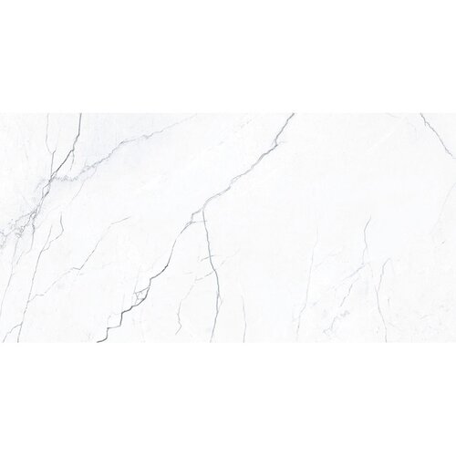Eco Ceramic elegance Marble White Pulido 60x120cm Slike