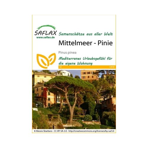 Saflax Mediteranska pinija Cene