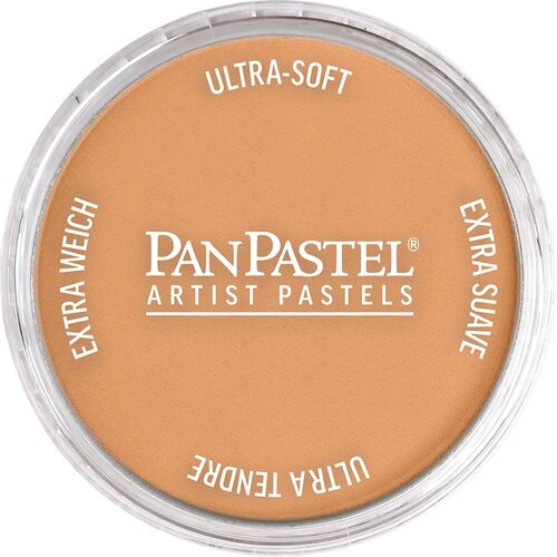 Artmie PanPastel Metallic Dri Pastel 9 ml | 930.5 Bronze Slike