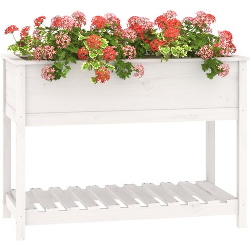  Sadilica s policom bijela 111,5x54x81 cm od masivne borovine Slike