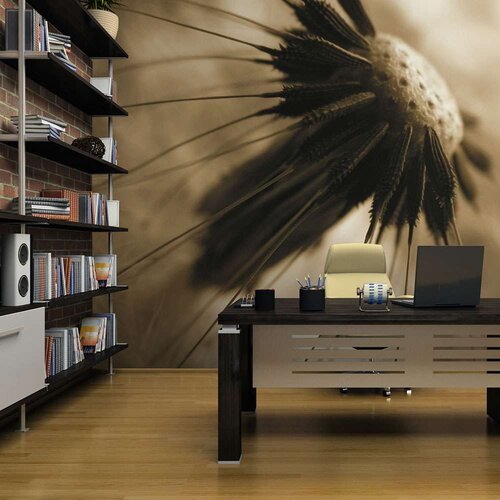  Tapeta - dandelion - sepia 350x270 Slike