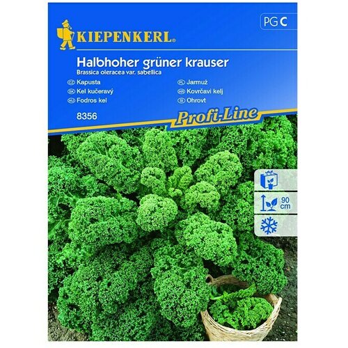 KIEPENKERL Zelenjavna semena Ohrovt (Brassica oleracea var. sabellica, Čas žetve: Oktober) Cene