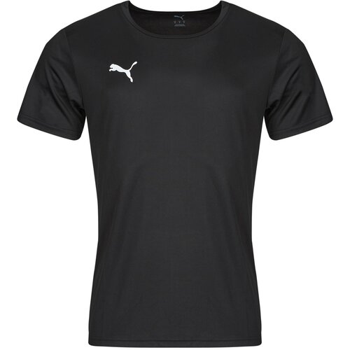 Puma Majice s kratkimi rokavi TEAMRISE MATCHDAY Črna Slike