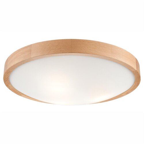  plafonsko svetlo oak slim, 3xE27/60W/230V, hrast, prečnik 47 cm Cene