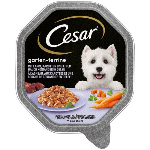 MEGA pakiranje Cesar zdjelice 28 x 150 g - Janjetina, mrkva i korijander u želeu Cijene