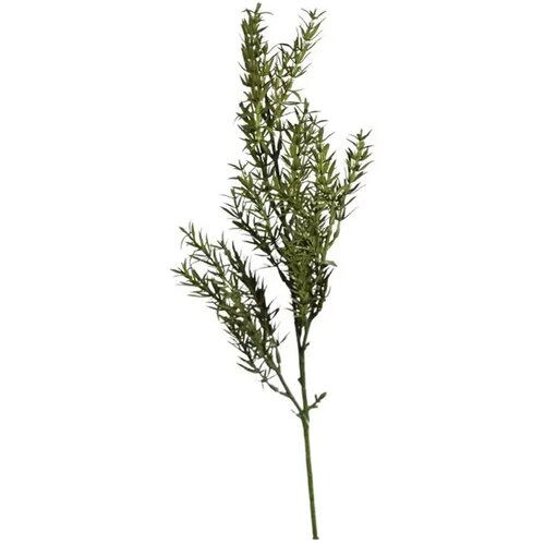  Rezano cvijeće grana zelenila 63 cm Cijene
