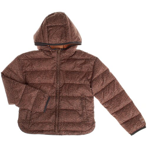 GAP Jakne 426484-000 Večbarvna Slike