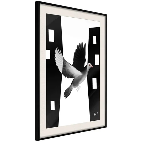  Poster - Caught in Flight 20x30