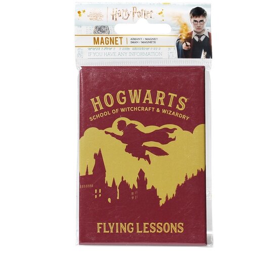 Blue Bay Magnet Harry Potter - Lekcije letenja - Magnet za hladilnik - Dodatki Harry Potter, (21240737) Slike