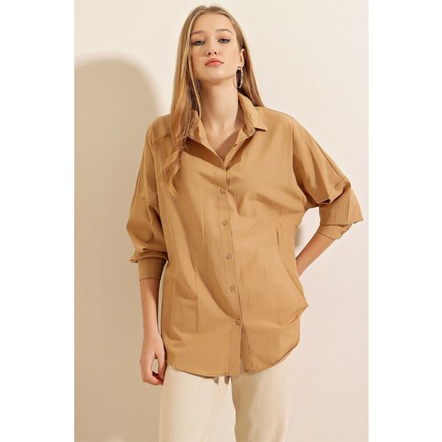 Bigdart Shirt - Brown - Regular fit Cene