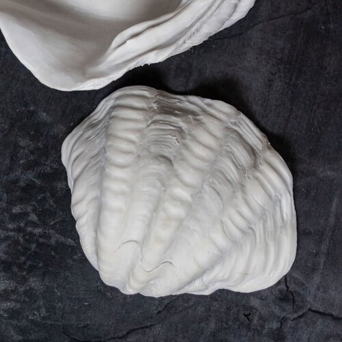 Mette Ditmer Denmark Dekorativni pladenj iz poliresina 24x19 cm Shell &amp;ndash; Slike