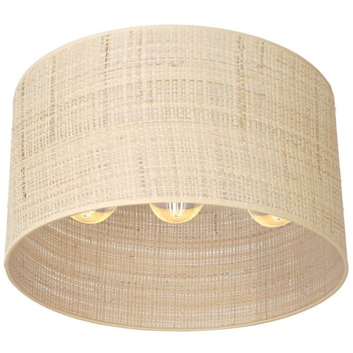  Prislonjen luster RATTAN 3xE27/60W/230V ratan Cene