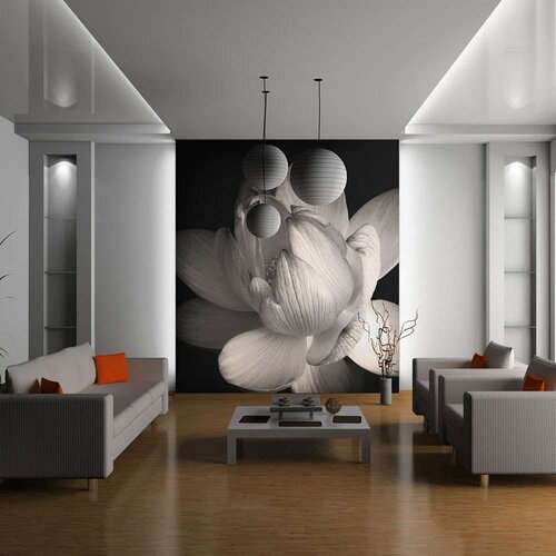  Tapeta - Lotus flower 350x270 Slike