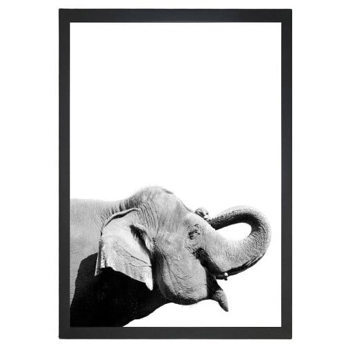 Tablo Center slika elephant, 24 x 29 cm Slike