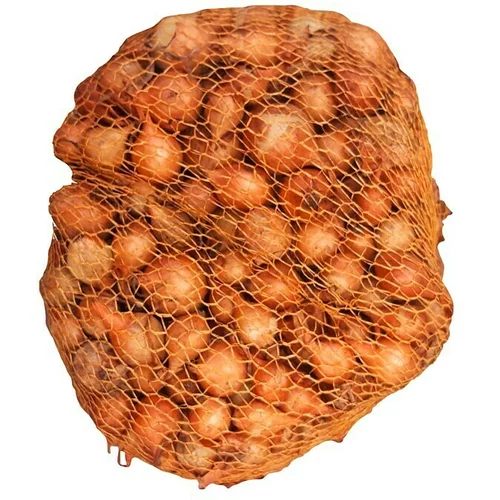  Lučice luka Stuttgarter (Botanički opis: Allium cepa, Berba: Lipanj - Kolovoz, 1 kg)