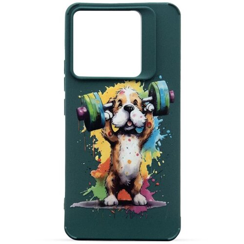  Maska za telefon COLOR PRINT za Xiaomi Redmi Note 13 Pro 5G DZ5 Cene