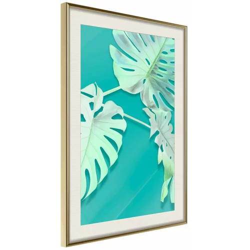  Poster - Teal Monstera 40x60