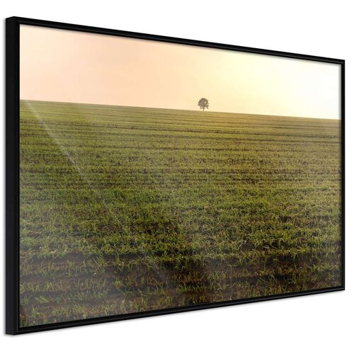  Poster - Farmland 60x40 Cijene