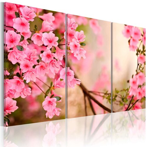  Slika - Cherry flower 60x40 Slike