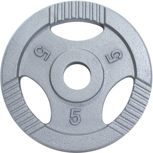 Gorilla Sports disk 5kg 50mm sivi Cene