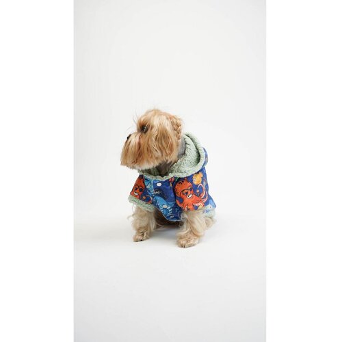 Paws & Whiskers Ocean Raincoat - Vi&scaron;ebojni Pasji Dukserica Cene