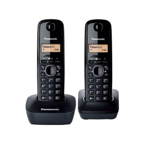 Telefon Panasonic KX-TG1612FXH crni, 2 slu&scaron;alice Cijene