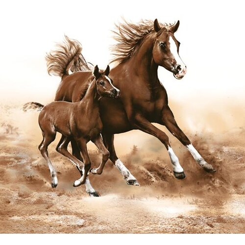  Salveta za dekupaž Horses - 1 kom (Salvete za dekupaž) Cijene
