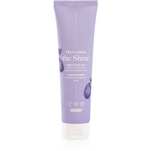 Anwen Here Comes The Shine Shining Primer For Medium Porosity Hair podlaga za lase 100 ml Slike