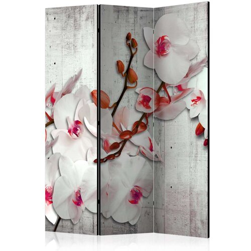  Paravan u 3 dijela - Concrete Orchid [Room Dividers] 135x172 Cijene
