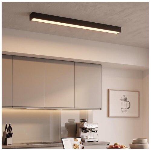  LED Plafonski/luster na sajli LED/44W/230V 3000K 120 cm crna Cene