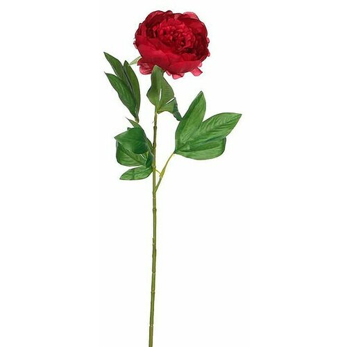  Umetna roža (Višina: 76 cm, Temno roza, Plastika) Cene