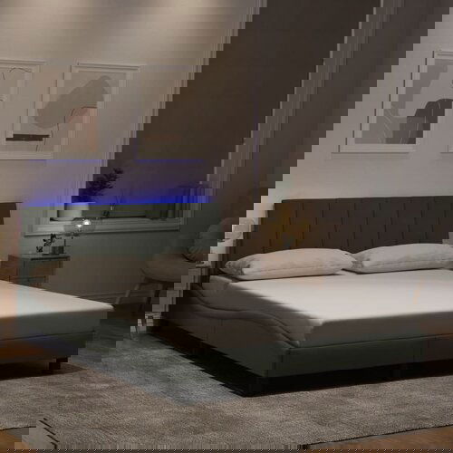 vidaXL Okvir kreveta s LED svjetlima svjetlosivi 120x200 cm baršunasti Cene