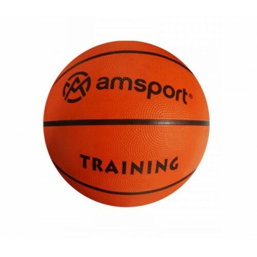 AMsport košarkaška lopta AM52 Cene