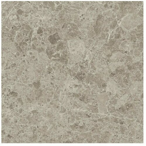  Porculanska pločica Marble Mix (D x &amp;Scaron;: 60 x 60 cm, Pearl, Mat) Slike