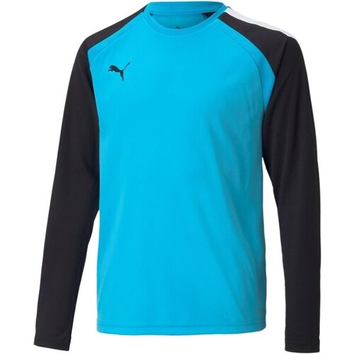 Puma Puloverji Teampacer Gk pisana Slike
