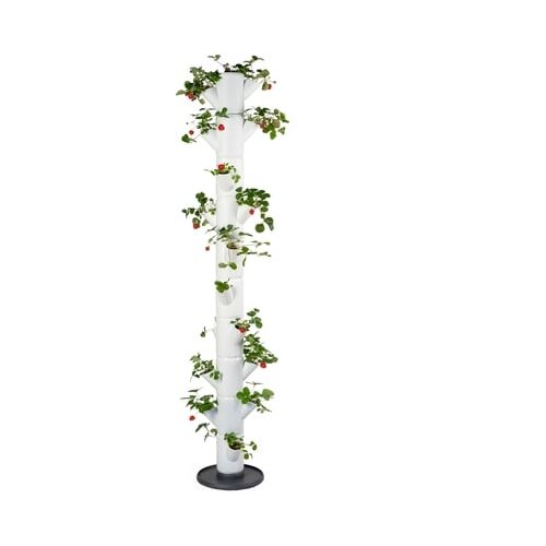 Gusta Garden Jagodni stolp - Sissi Strawberry Infinity Cene
