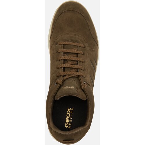 Geox Khaki men's sneakers Spherica - Men's Cene
