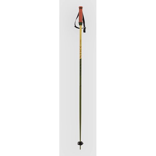Völkl Phantastick 16mm Poles 2025 Ski Poles green Cene