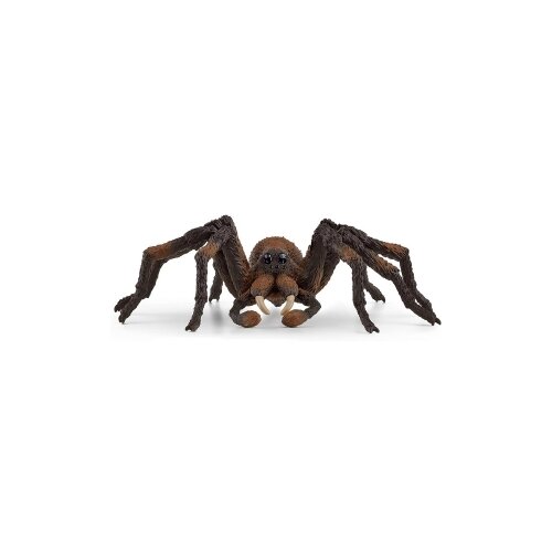  Aragog Slike