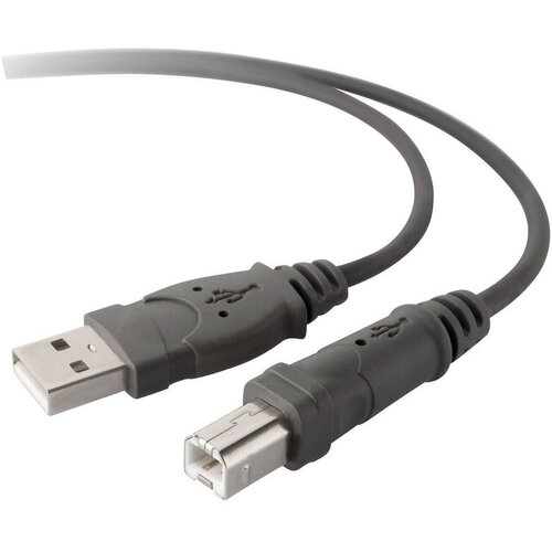 Belkin USB kabel USB 2.0 USB-A vtič\, USB-B vtič 3.00 m siva F3U133b10, (399716) Cene