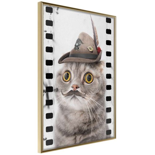  Poster - Dressed Up Cat 20x30 Cijene