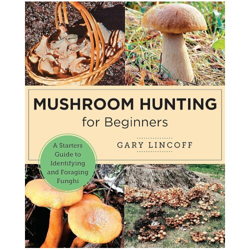 Hachette Gary Lincoff - Mushroom Hunting for Beginners Cene